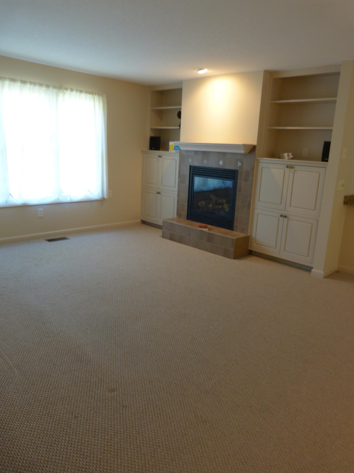 197 Evergreen Place Pleasant Hill, TN 38583 - Photo 4 of 22 Living room
