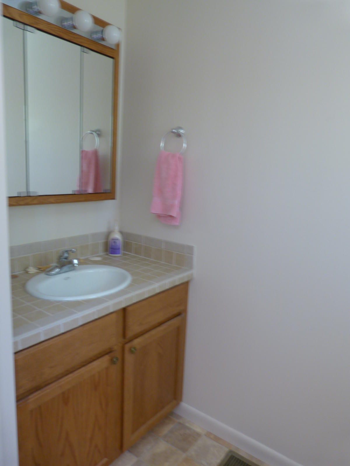 197 Evergreen Place Pleasant Hill, TN 38583 - Photo 10 of 22 half bath