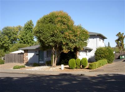 5015 Roma Street, Unit 3 Santa Rosa, CA 95409 - Photo 2 of 4 Gallery Image 2