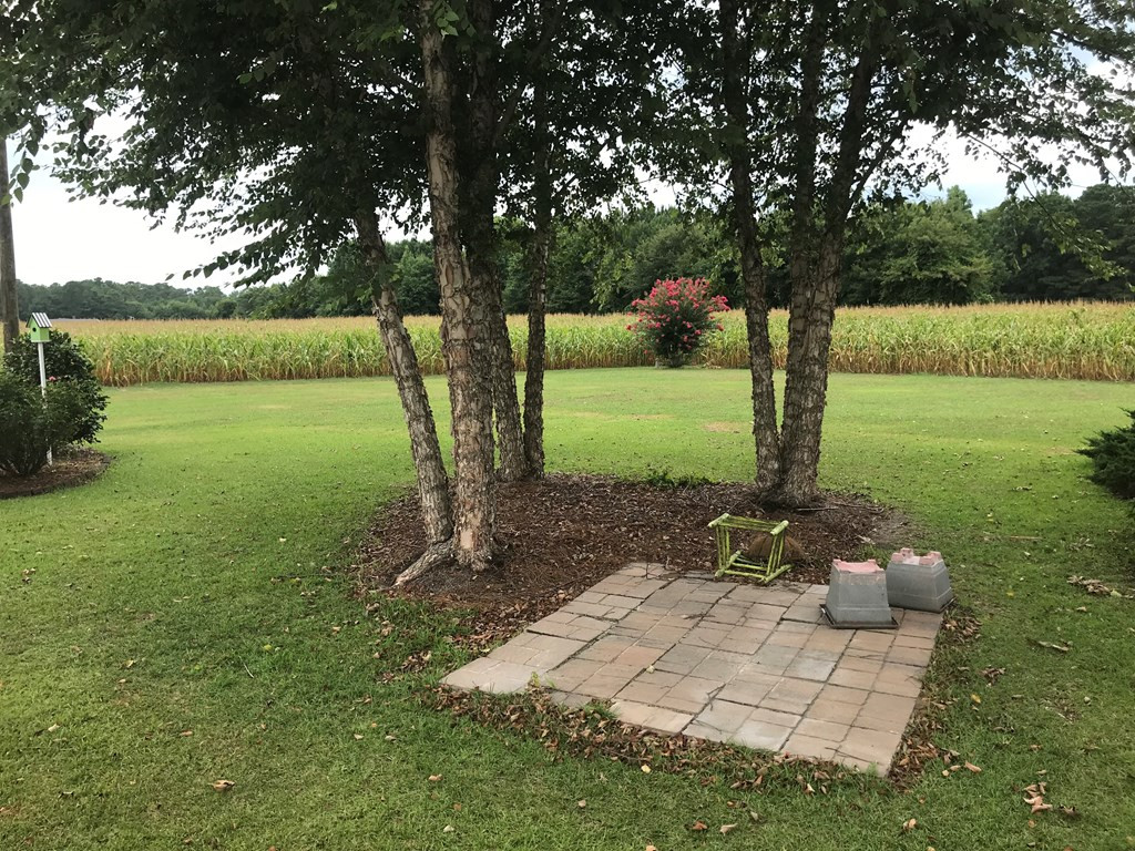 2575 Emmaus Church Road Dudley, NC 28333 - Photo 21 of 23 Back yard