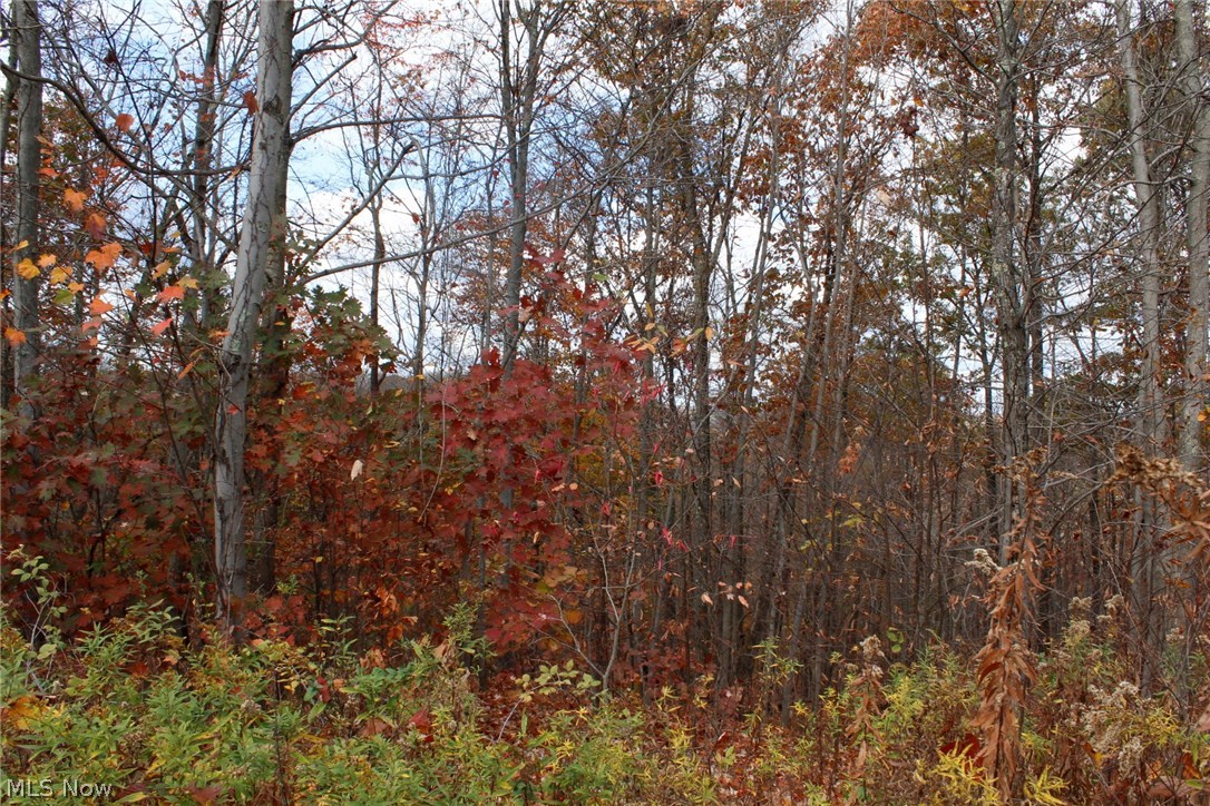 565 State Route Lower Salem, OH 45745 - Photo 9 of 14 Gallery Image 9