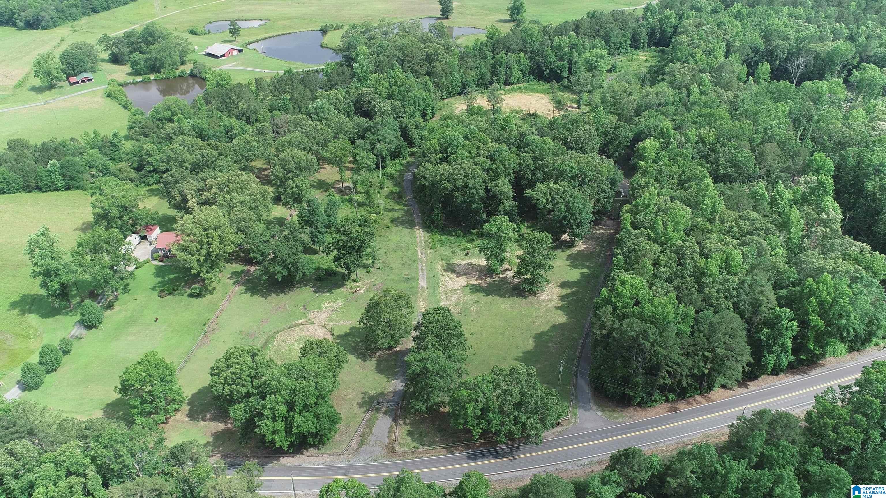1790 Pleasant Valley Road Odenville, AL 35120 - Photo 40 of 46 Gallery Image 40