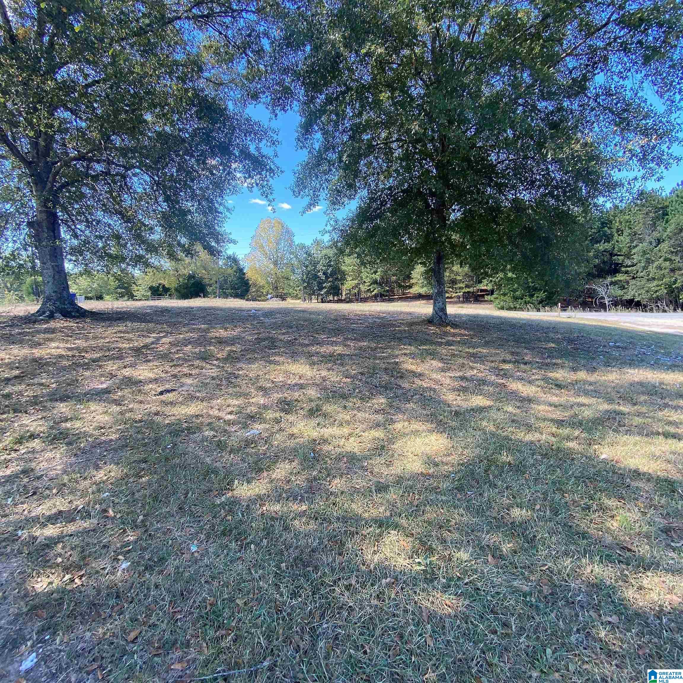 1170 Thompson Road Ohatchee, AL 36271 - Photo 24 of 25