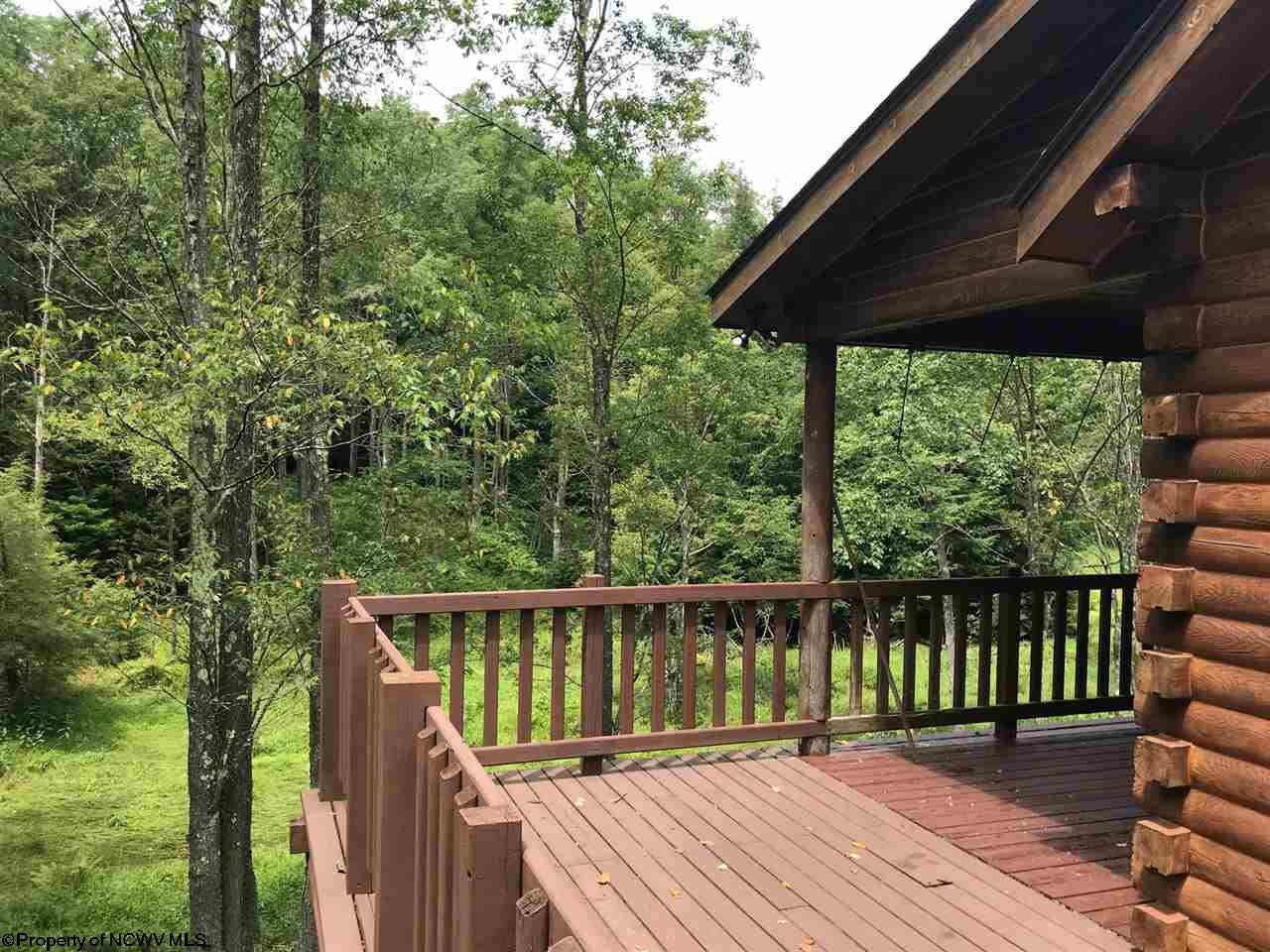 101 Snapping Turtle Lane Davis, WV 26260 - Photo 4 of 20 Gallery Image 4