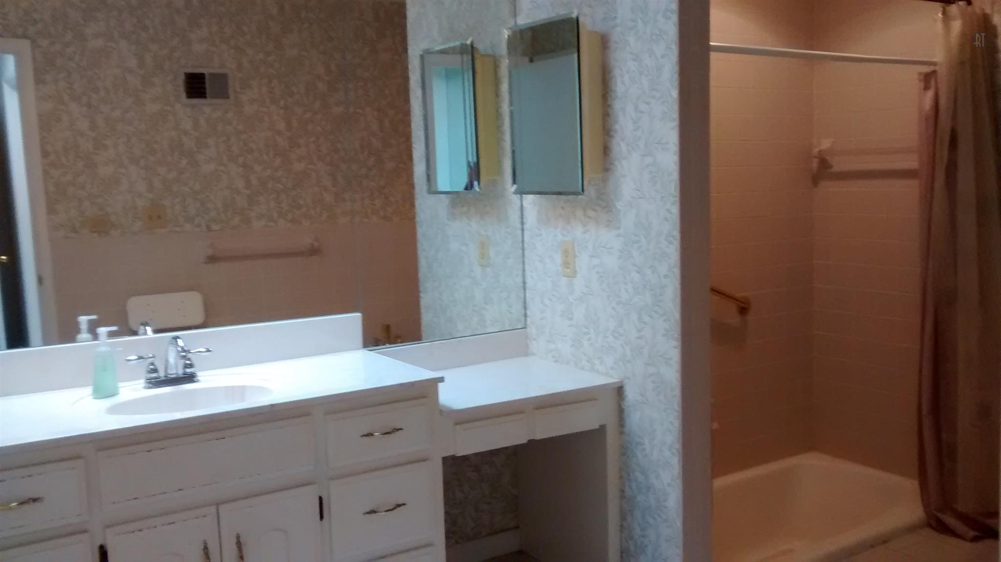 4141 West Hamilton Road Nashville, TN 37218 - Photo 21 of 30 Sunken Tub/Shower Combination and Double Vanities in Main Bedroom Bathroom