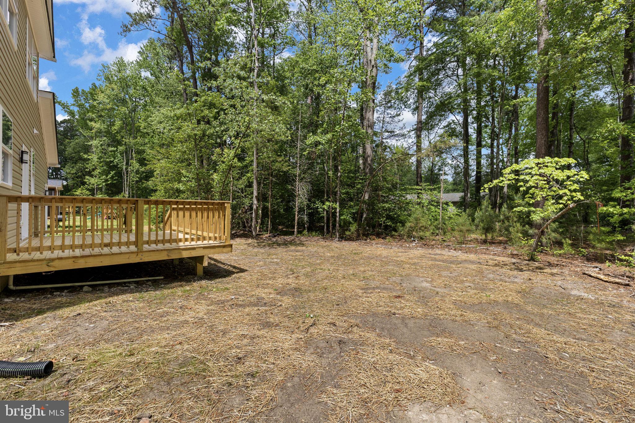 113 Laurel Lane Colonial Beach, VA 22443 - Photo 39 of 44 Rear yard