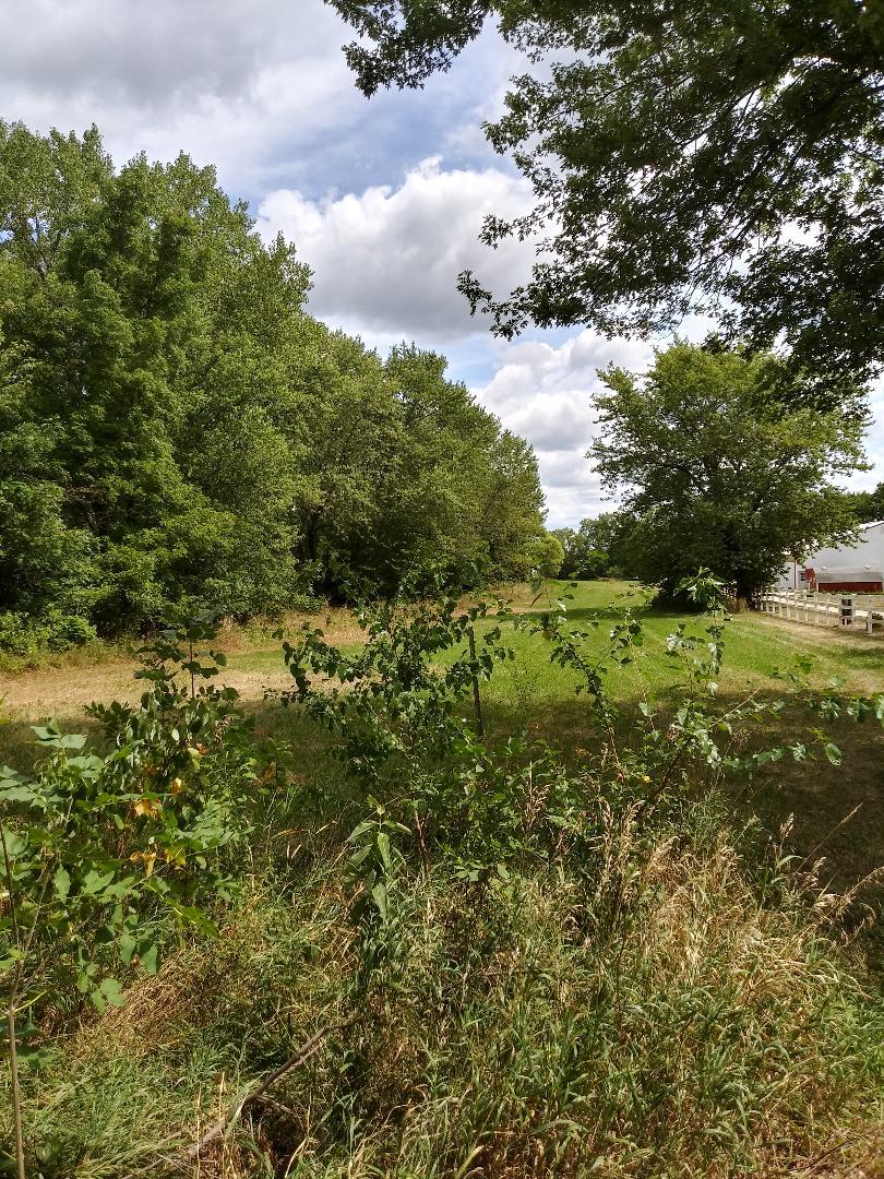 0 O'gee Road Earlville, IL 60518 - Photo 1 of 2 Gallery Image 1
