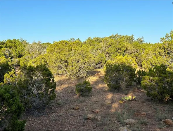 a view of mountain view with lots of trees