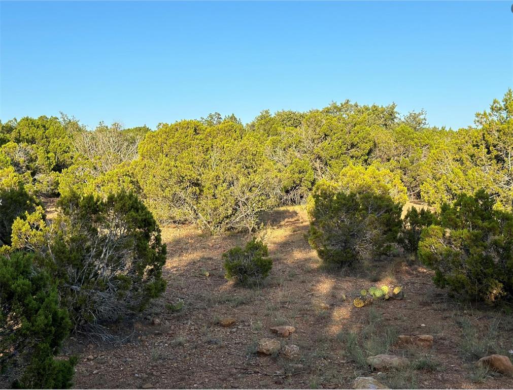 331 County Road Bangs, TX 76823 - Photo 11 of 33 a view of mountain view with lots of trees
