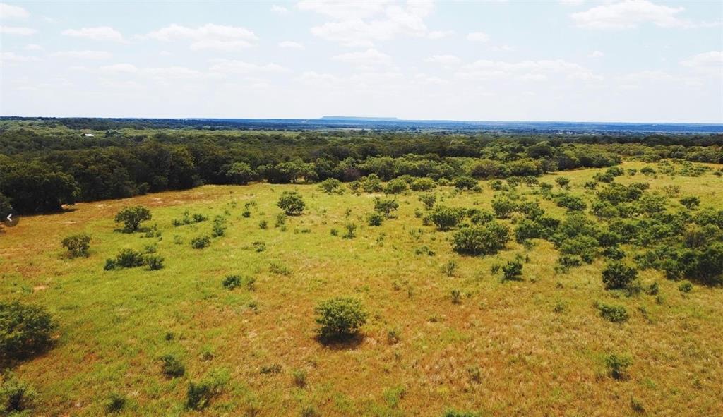331 County Road Bangs, TX 76823 - Photo 15 of 33 a view of a field with an ocean