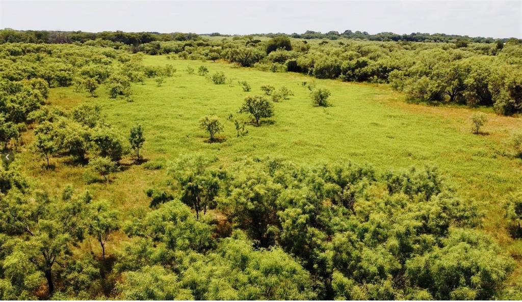 331 County Road Bangs, TX 76823 - Photo 16 of 33 a view of ocean