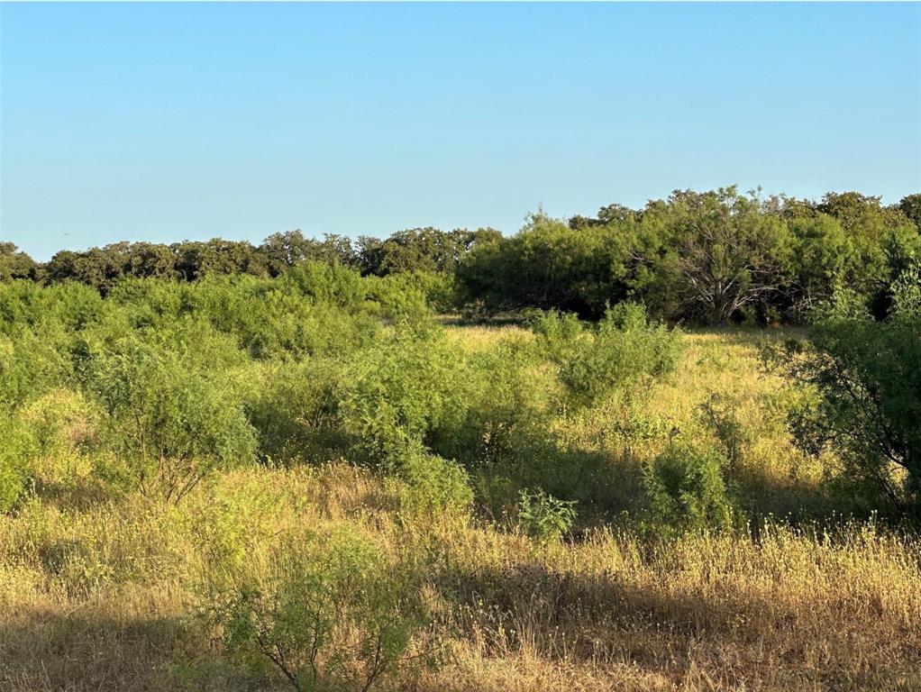 331 County Road Bangs, TX 76823 - Photo 18 of 33 a view of a lake from a yard