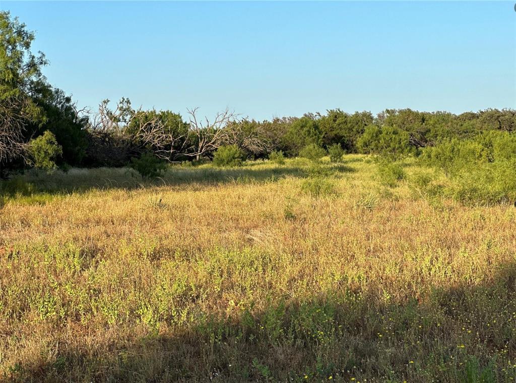 331 County Road Bangs, TX 76823 - Photo 20 of 33 a view of lake