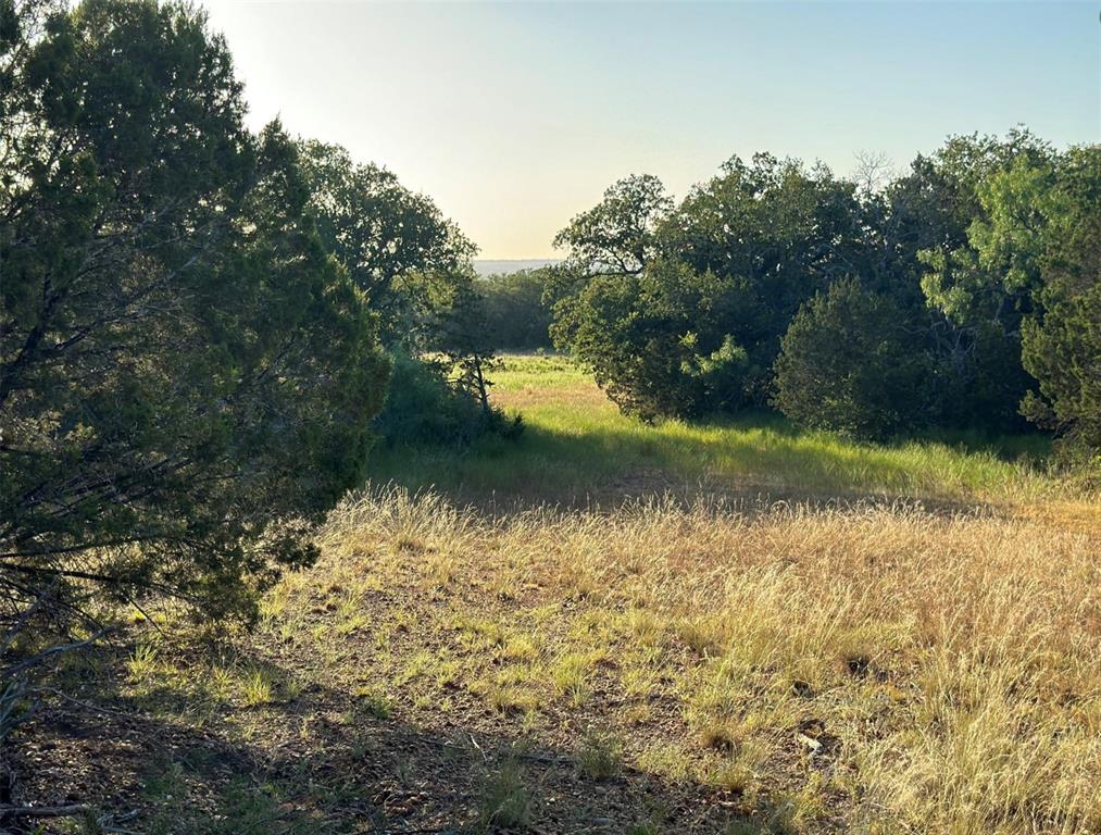 331 County Road Bangs, TX 76823 - Photo 22 of 33 a view of a lake view