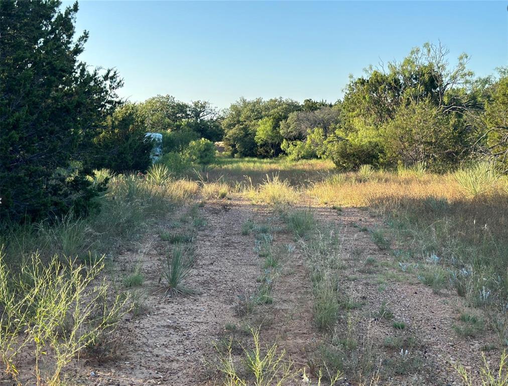 331 County Road Bangs, TX 76823 - Photo 23 of 33 a view of lake with green space