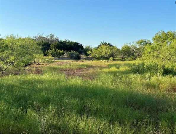 a view of a lake with a yard
