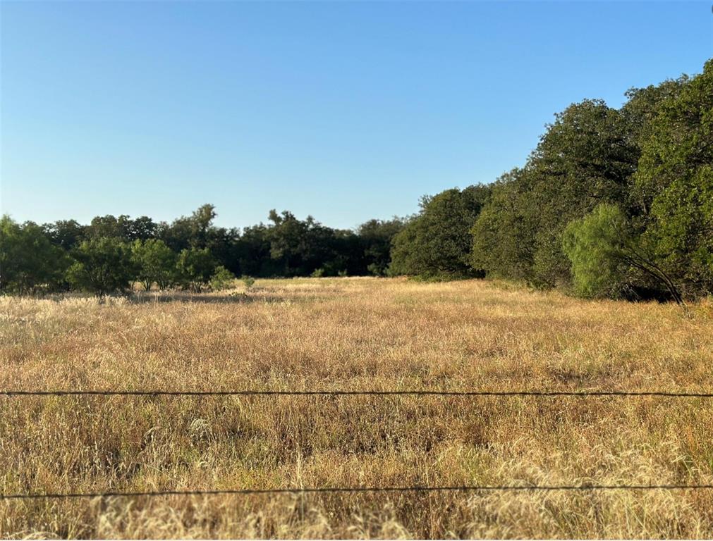 331 County Road Bangs, TX 76823 - Photo 25 of 33