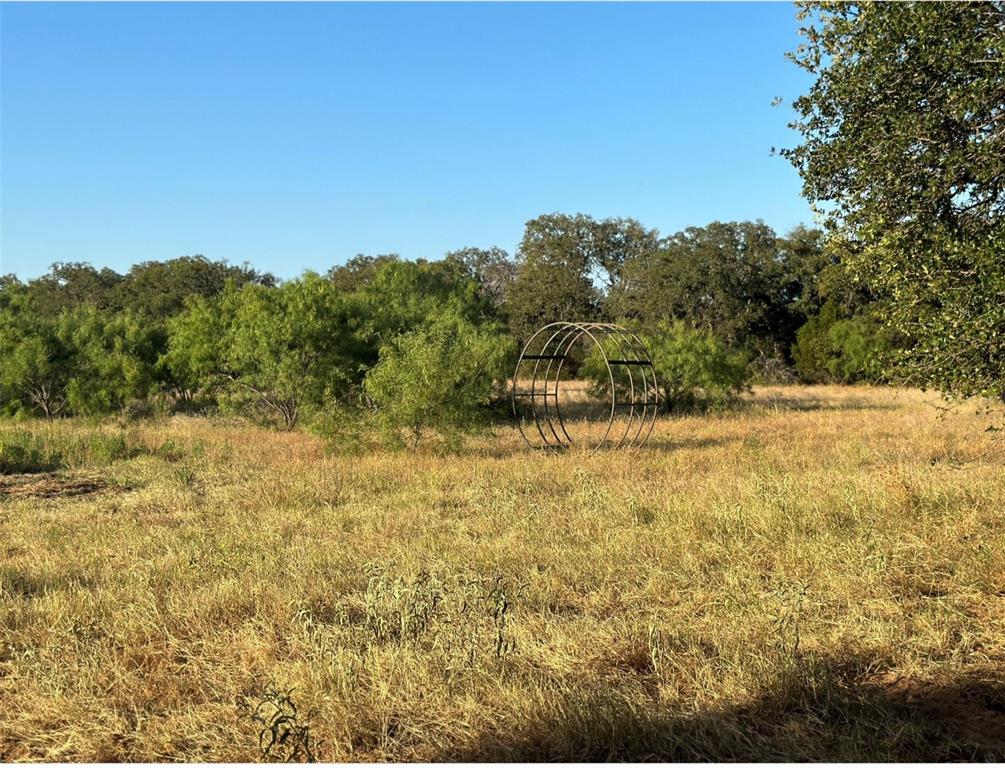 331 County Road Bangs, TX 76823 - Photo 26 of 33 a view of a yard with an outdoor space