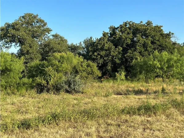 a view of yard with trees