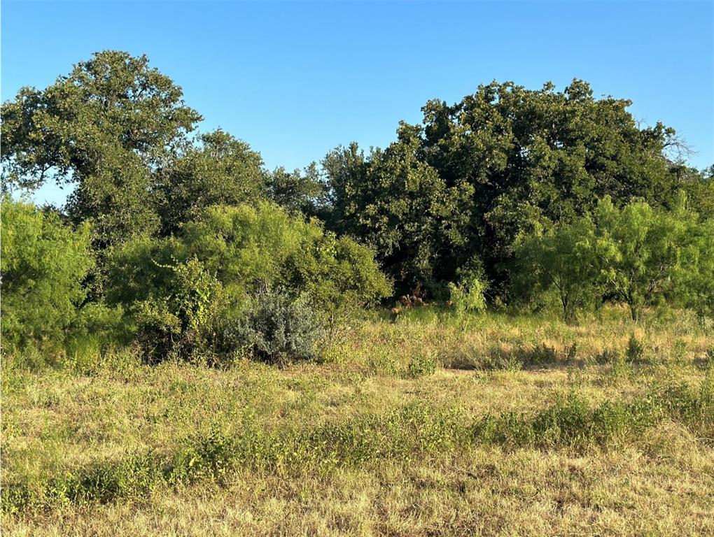 331 County Road Bangs, TX 76823 - Photo 27 of 33 a view of a yard