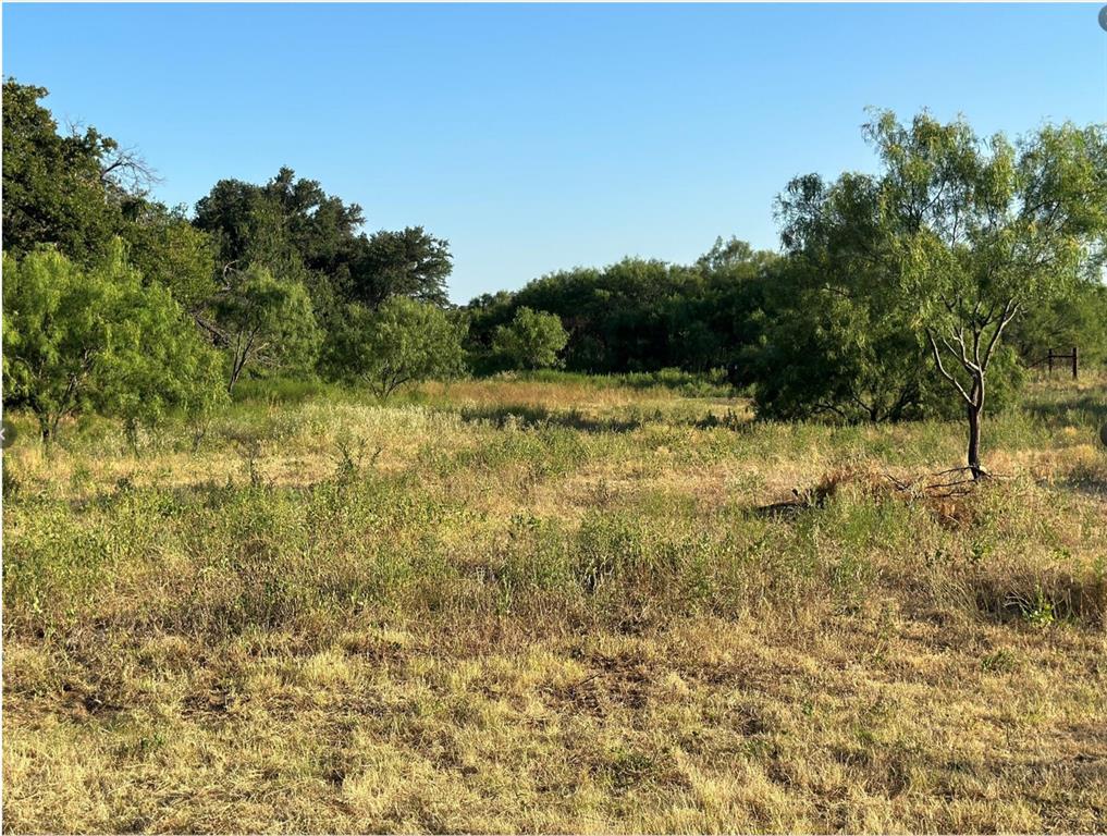 331 County Road Bangs, TX 76823 - Photo 28 of 33 a view of yard with trees