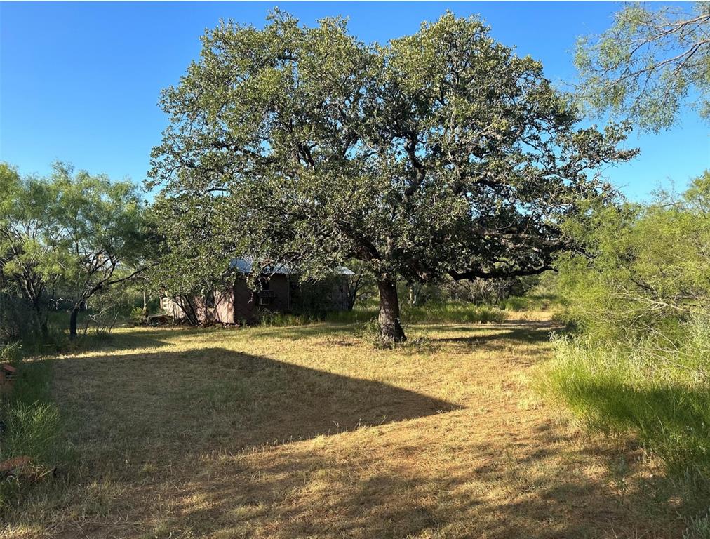 331 County Road Bangs, TX 76823 - Photo 29 of 33 a view of a yard with an outdoor space