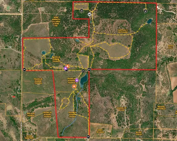 a view of a field with a tree