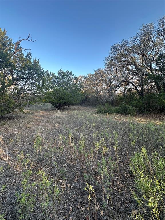 331 County Road Bangs, TX 76823 - Photo 33 of 33 a view of a field with trees in the background