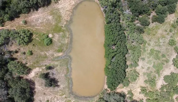 a view of a plant in a garden