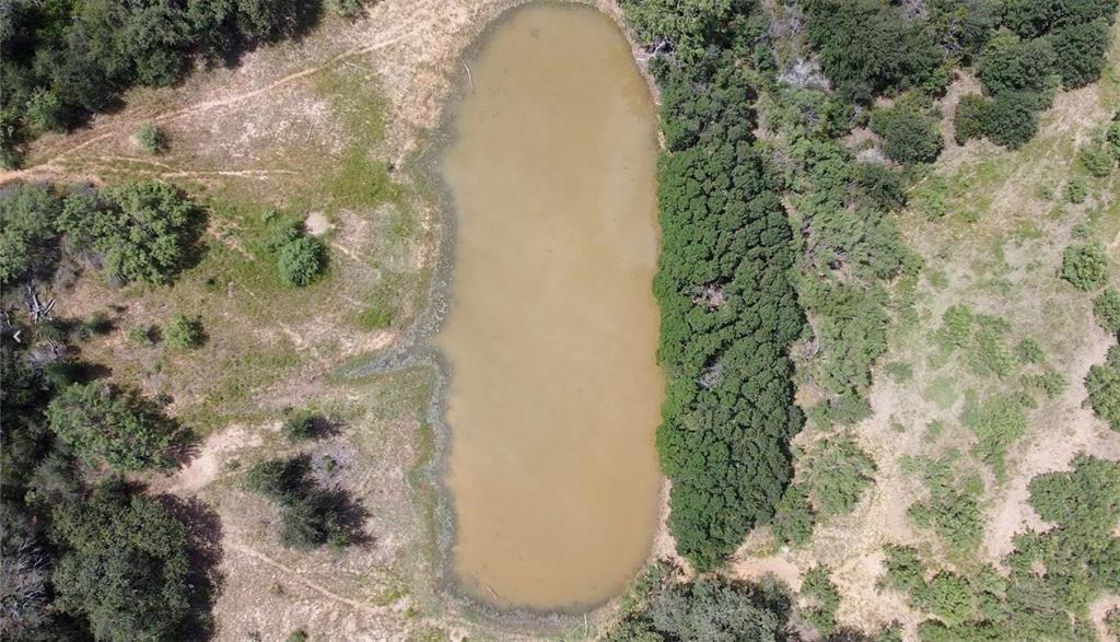 331 County Road Bangs, TX 76823 - Photo 6 of 33 a view of a plant in a garden