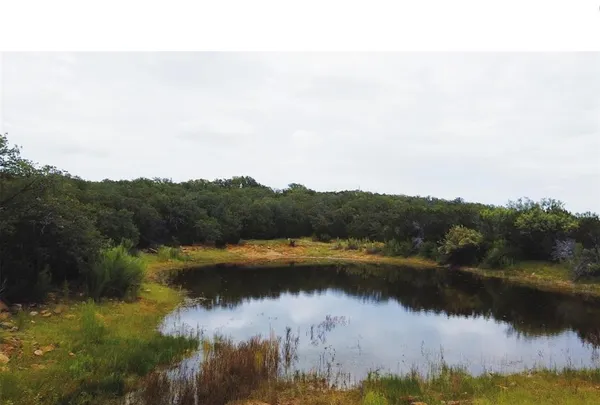 a view of lake with green space