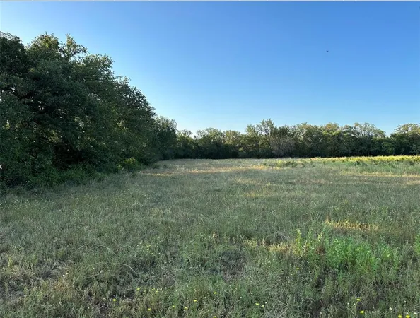a view of a field with trees in the background