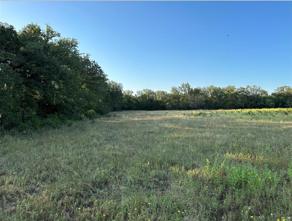 331 County Road Bangs, TX 76823 - Photo 9 of 33 a view of a field with trees in the background
