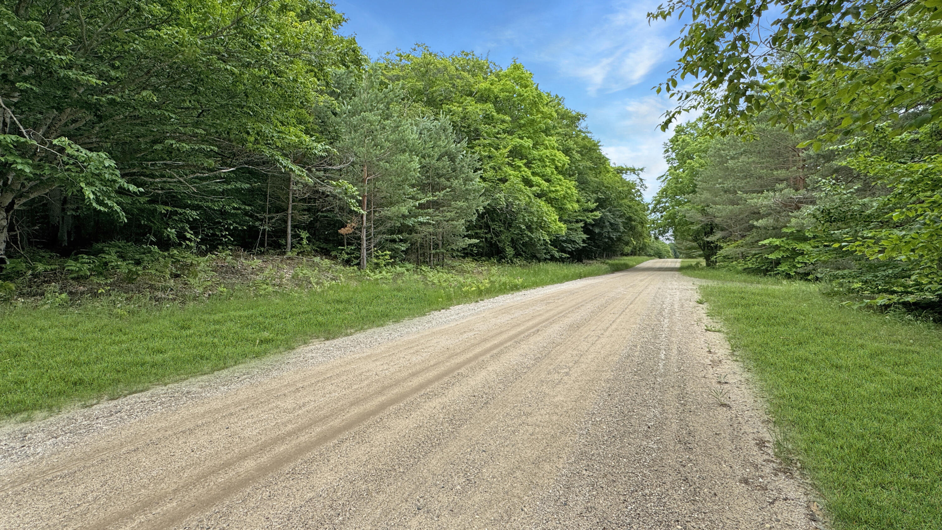 1844 East 28 Road Cadillac, MI 49601 - Photo 42 of 48 Greg Bosscher (4)
