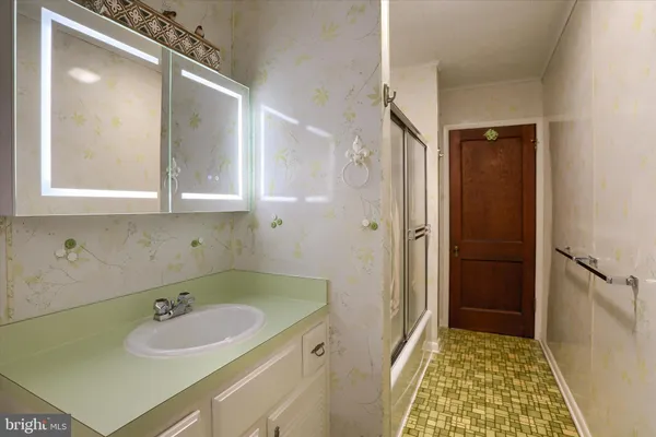 a view of a yard with plants and large trees