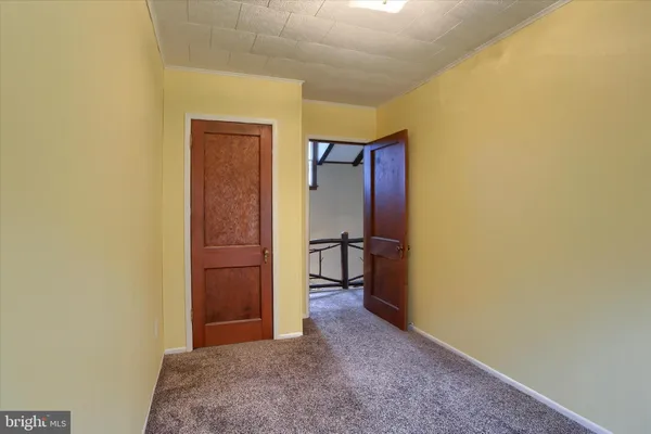 a view of a yard with trees