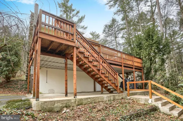a view of a lake with a tree