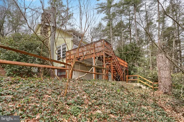 a view of a flower in a garden