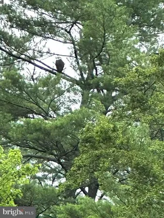 $389,900 | 92 Shoreline Drive, Pine Grove, PA 17963