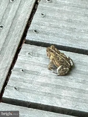 $389,900 | 92 Shoreline Drive, Pine Grove, PA 17963