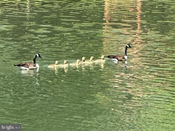 $389,900 | 92 Shoreline Drive, Pine Grove, PA 17963