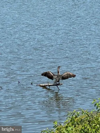 $389,900 | 92 Shoreline Drive, Pine Grove, PA 17963