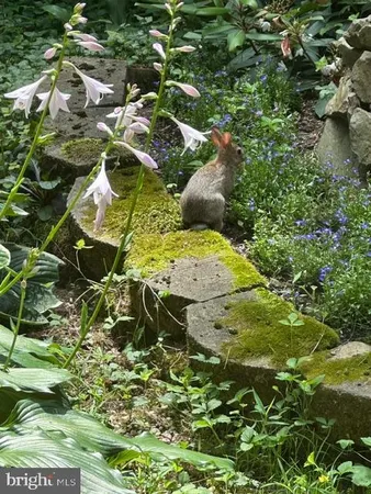 $389,900 | 92 Shoreline Drive, Pine Grove, PA 17963