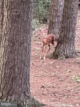 $389,900 | 92 Shoreline Drive, Pine Grove, PA 17963