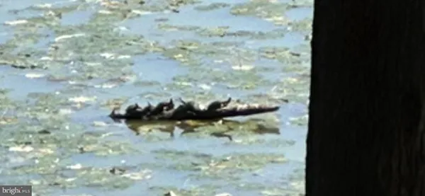 $389,900 | 92 Shoreline Drive, Pine Grove, PA 17963