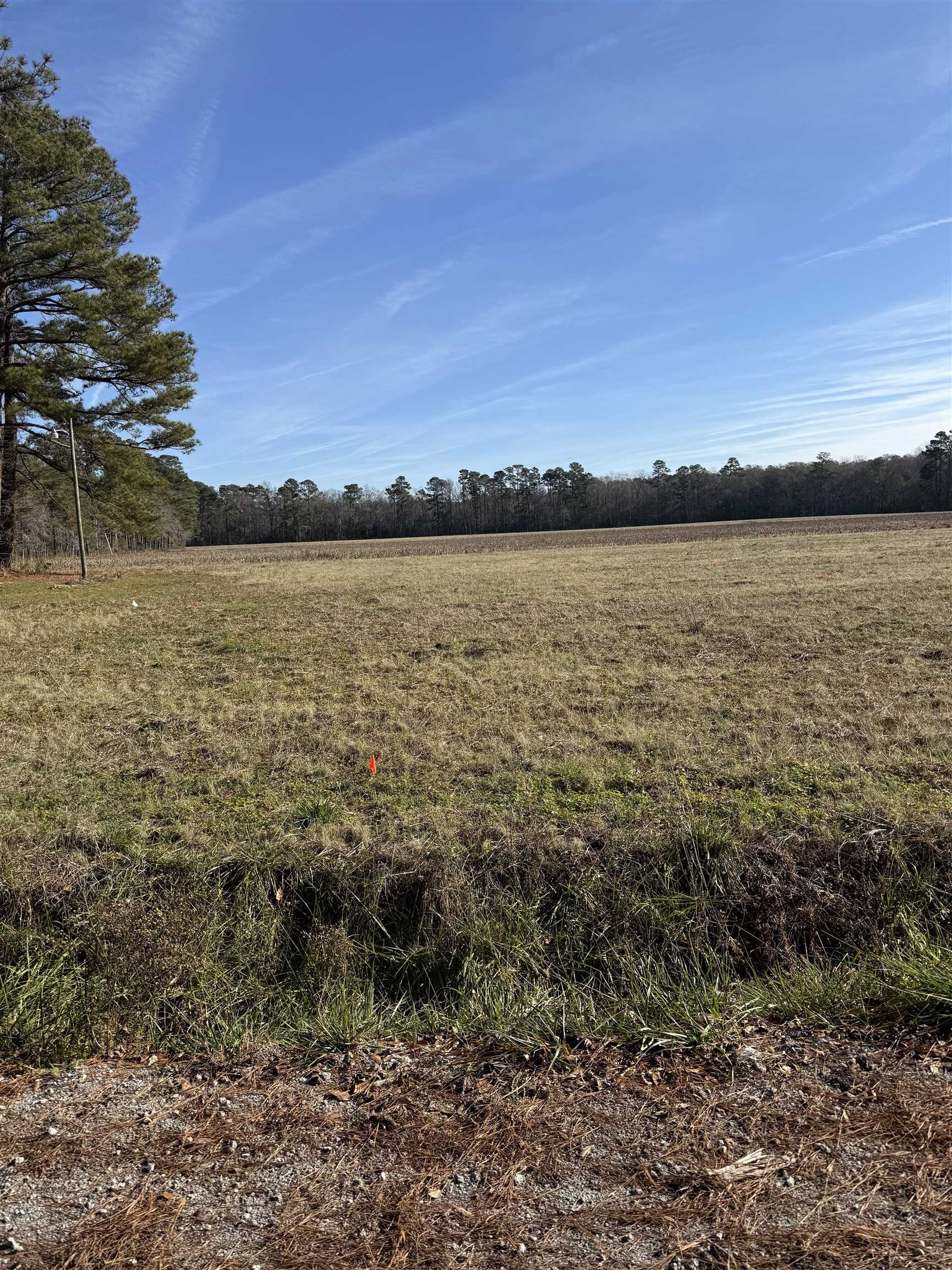 Lot 4 Johnson Shelly Road Conway, SC 29526 - Photo 1 of 10