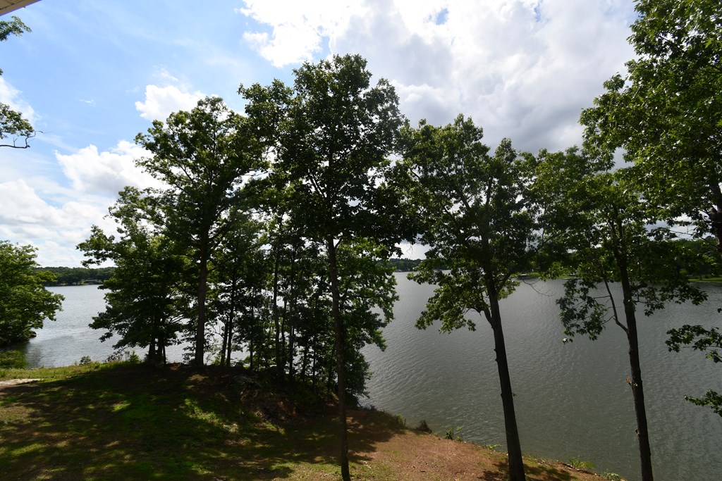 569 North Ruth Walker Road Waterloo, SC 29384 - Photo 28 of 31 Gallery Image 28