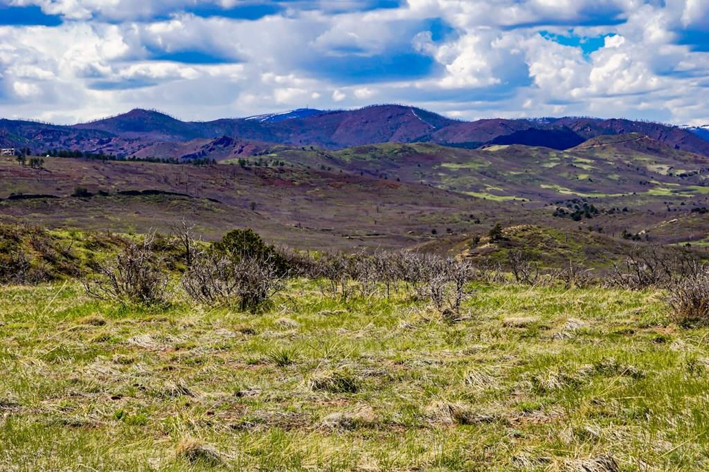 Tbd Tbd Rilling Canyon Road La Veta, CO 81055 - Photo 15 of 33