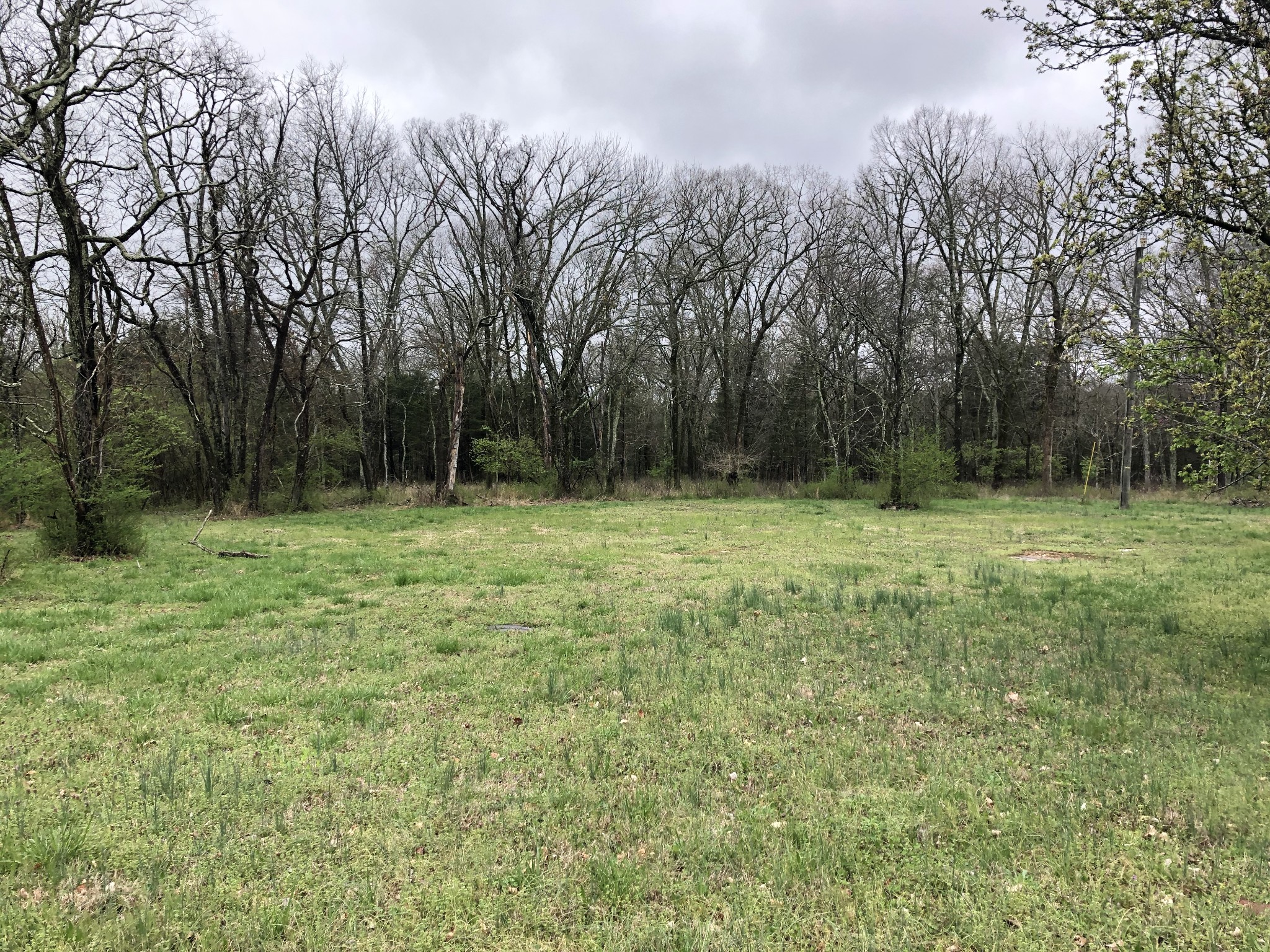 0 Chandler Rd Mount Mount Juliet, TN 37122 - Photo 1 of 1 a view of outdoor space with a garden