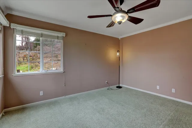 a backyard of a house with lots of green space